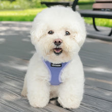 Best Pet Supplies Voyager Step-in Air Harness - All Weather Mesh, Reflective, No Pull Harness for Dogs, Cats - Secure with Hook & Loop Fastener, Buckle, Double D-Rings - Lavender, XS