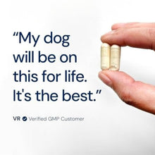 Animal Biome Gut Maintain Probiotics and Prebiotics for Dogs - Reduce Diarrhea Flareups - for Large Dogs (60 Capsules)
