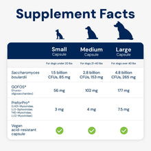 Animal Biome Gut Maintain Probiotics and Prebiotics for Dogs - Reduce Diarrhea Flareups - for Large Dogs (60 Capsules)