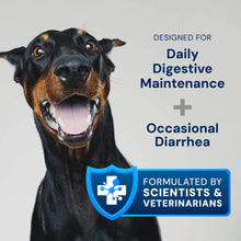 Animal Biome Gut Maintain Probiotics and Prebiotics for Dogs - Reduce Diarrhea Flareups - for Large Dogs (60 Capsules)