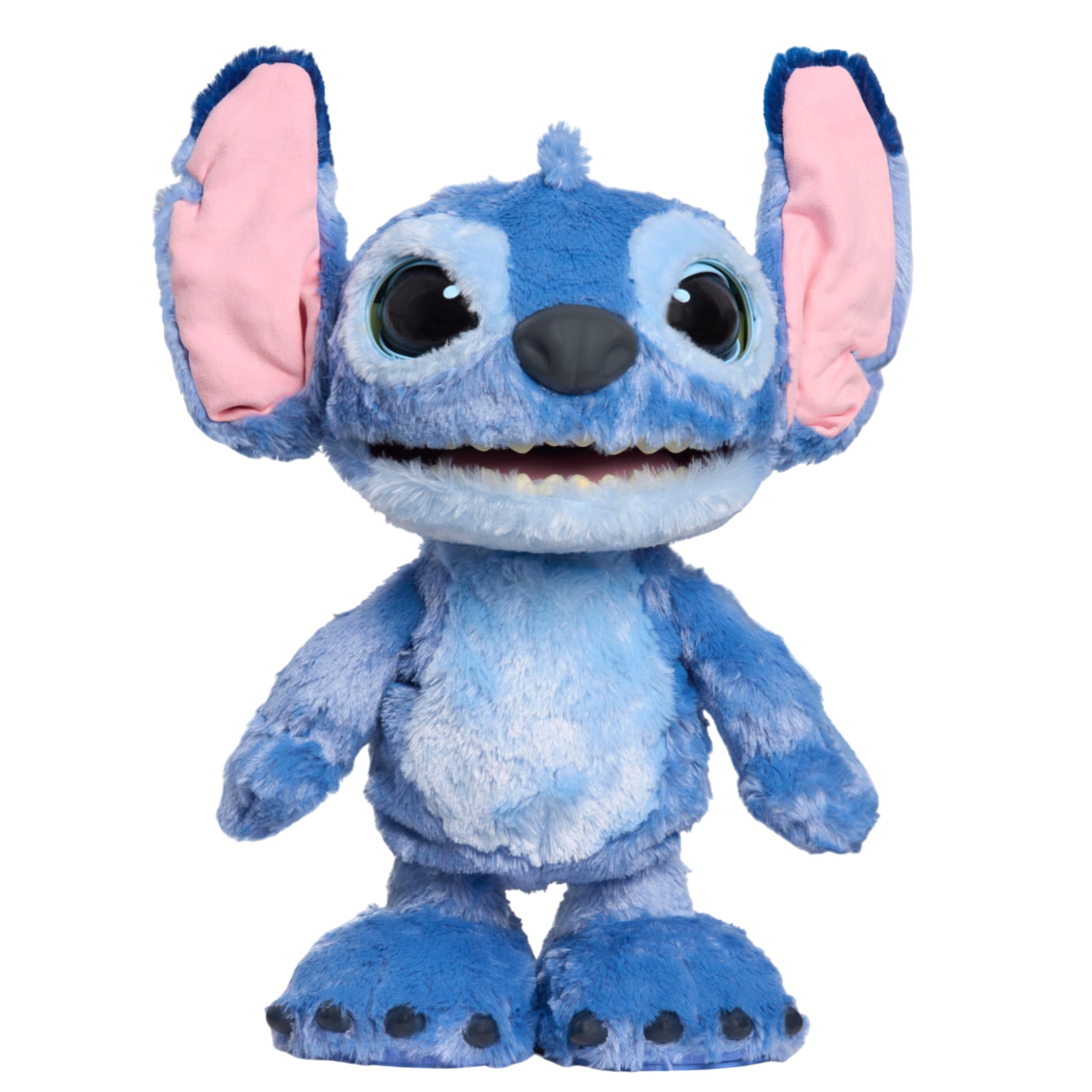 Toy