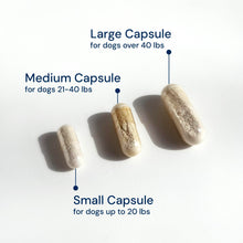 Animal Biome Gut Maintain Probiotics and Prebiotics for Dogs - Reduce Diarrhea Flareups - for Large Dogs (60 Capsules)