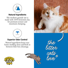 Dr. Elsey's Premium Clumping Cat Litter - Ultra - 99.9% Dust-Free, Low Tracking, Hard Clumping, Superior Odor Control, Unscented & Natural Ingredients