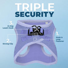 Best Pet Supplies Voyager Step-in Air Harness - All Weather Mesh, Reflective, No Pull Harness for Dogs, Cats - Secure with Hook & Loop Fastener, Buckle, Double D-Rings - Lavender, XS