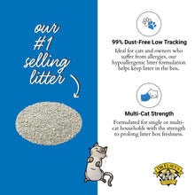 Dr. Elsey's Premium Clumping Cat Litter - Ultra - 99.9% Dust-Free, Low Tracking, Hard Clumping, Superior Odor Control, Unscented & Natural Ingredients