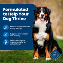 Blue Buffalo Life Protection Formula Adult Dry Dog Food, Helps Build and Maintain Strong Muscles, Made with Natural Ingredients, Chicken & Brown Rice Recipe, 30-lb. Bag