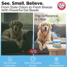 Arm & Hammer for Pets Air Care Pet Scents Deodorizing Gel Beads, Pet Odor Eliminator for Rooms Closets and Small Spaces with Long Lasting Odor Control, Fresh Breeze Scent, 12 oz