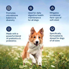 Animal Biome Gut Maintain Probiotics and Prebiotics for Dogs - Reduce Diarrhea Flareups - for Large Dogs (60 Capsules)