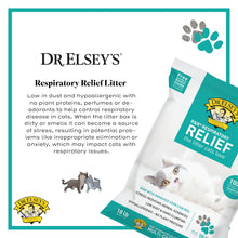Dr. Elsey's R&R Stress-Reducing Clumping Clay Cat Litter 18 lb. Bag